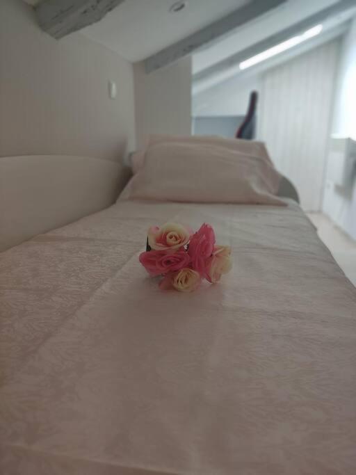 Bird View Apartment Carlissima トロギール エクステリア 写真